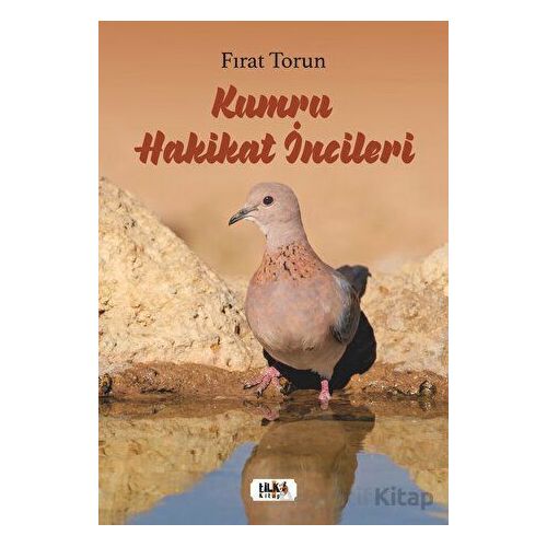 Kumru Hakikat İncileri - Fırat Torun - Tilki Kitap