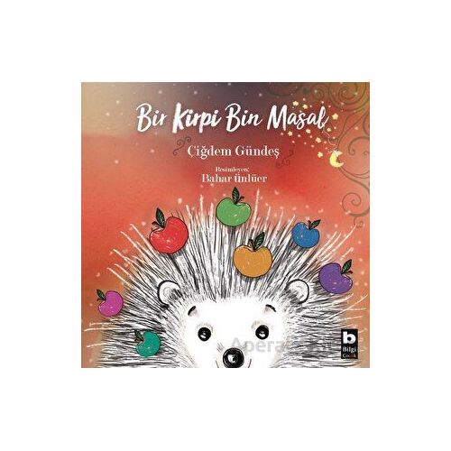 Bir Kirpi Bin Masal - Çiğdem Gündeş - Bilgi Yayınevi
