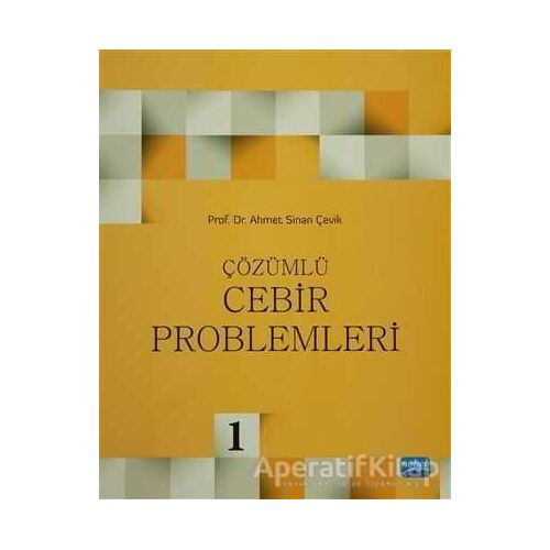 Çözümlü Cebir Problemleri - Ahmet Sinan Çevik - Nobel Akademik Yayıncılık