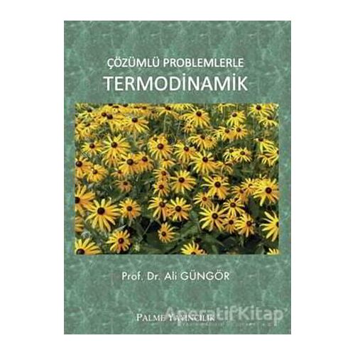 Çözümlü Problemlerle Termodinamik - Ali Güngör - Palme Yayıncılık