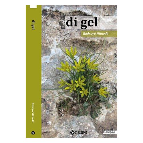 Di Gel - Bedroye Himede - Name Yayınları