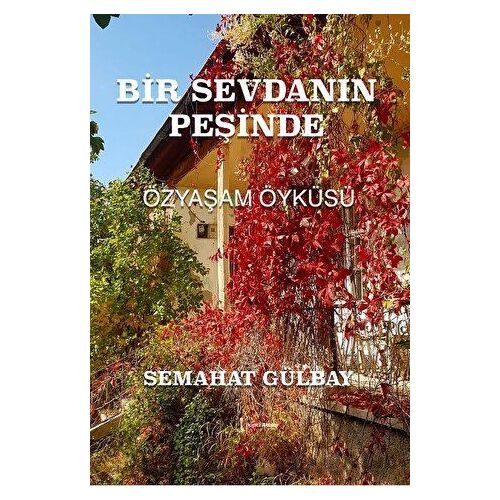 Bir Sevdanın Peşinde - Semahat Gülbay - İkinci Adam Yayınları