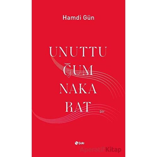 Unuttuğum Nakarat - Hamdi Gün - Şule Yayınları