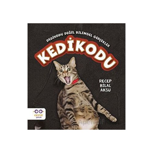 Kedikodu - Recep Bilal Aksu - Cezve Çocuk