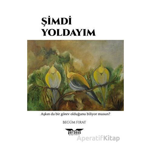 Şimdi Yoldayım - Begüm Fırat - Perseus