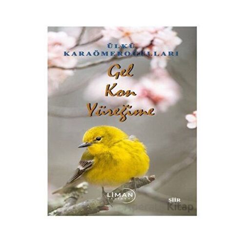 Gel Kon Yüreğime - Ülkü Karaömeroğulları - Liman Yayınevi