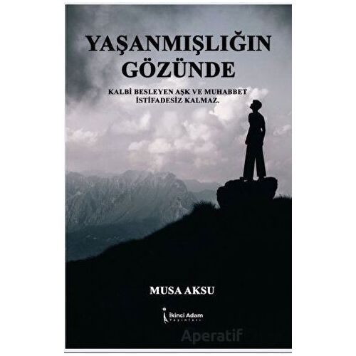 Yaşanmışlığın Gözünde - Musa Aksu - İkinci Adam Yayınları