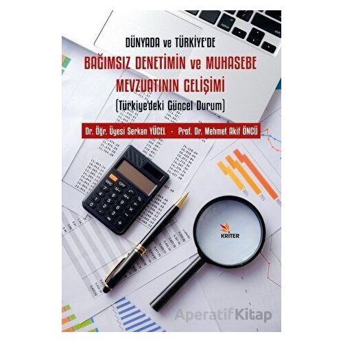 Dünyada ve Türkiye’de Bağımsız Denetimin ve Muhasebe Mevzuatının Gelişimi
