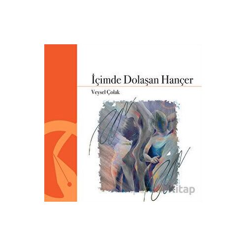 İçimde Dolaşan Hançer - Veysel Çolak - Hayal Yayınları