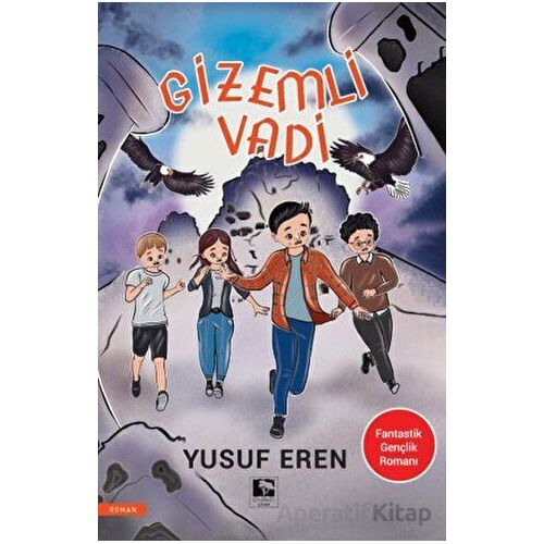 Gizemli Vadi - Yusuf Eren - Çınaraltı Yayınları