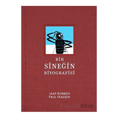 Bir Sineğin Biyografisi - Jaap Robben - MEAV Yayıncılık