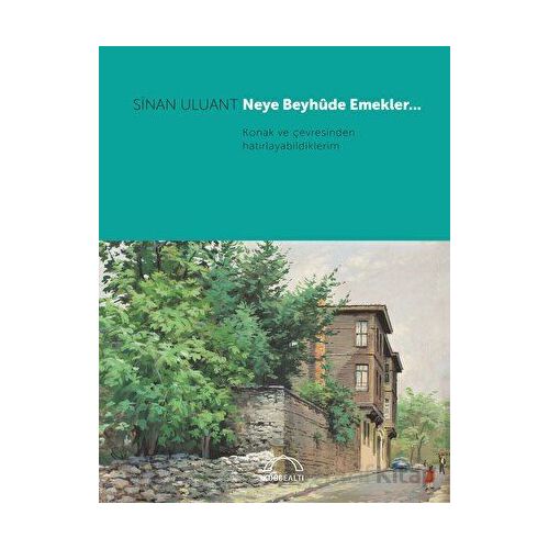 Neye Beyhude Emekler… - Sinan Uluant - Kubbealtı Neşriyatı Yayıncılık