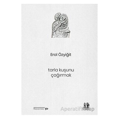 Tarla Kuşunu Çağırmak - Erol Özyiğit - Pikaresk Yayınevi