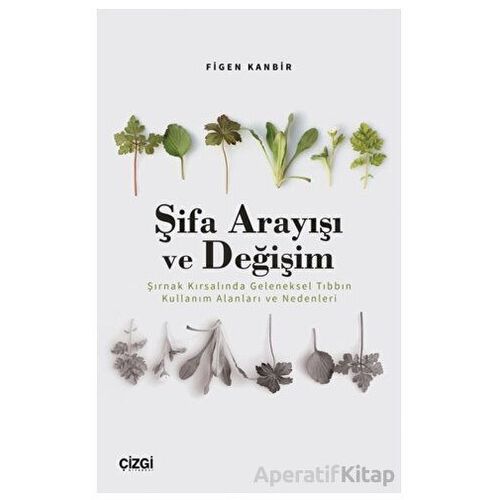 Şifa Arayışı ve Değişim - Şırnak Kırsalında Geleneksel Tıbbın Kullanım Alanları ve Nedenleri