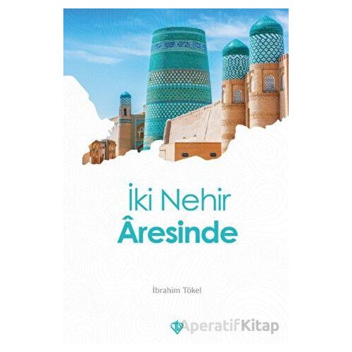 İki Nehir Aresinde - İbrahim Tökel - Türkiye Diyanet Vakfı Yayınları