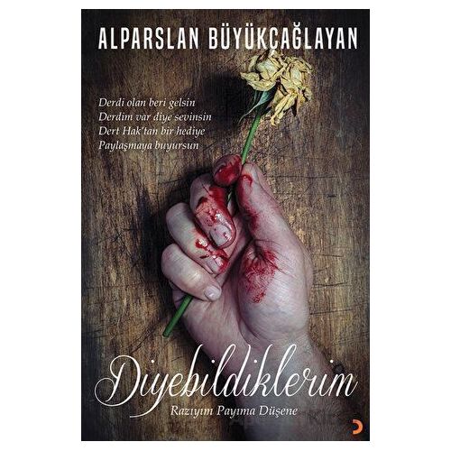 Diyebildiklerim - Alparslan Büyükçağlayan - Cinius Yayınları
