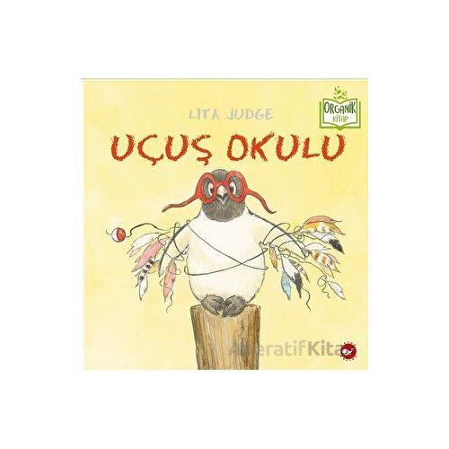Uçuş Okulu - Lita Judge - Beyaz Balina Yayınları