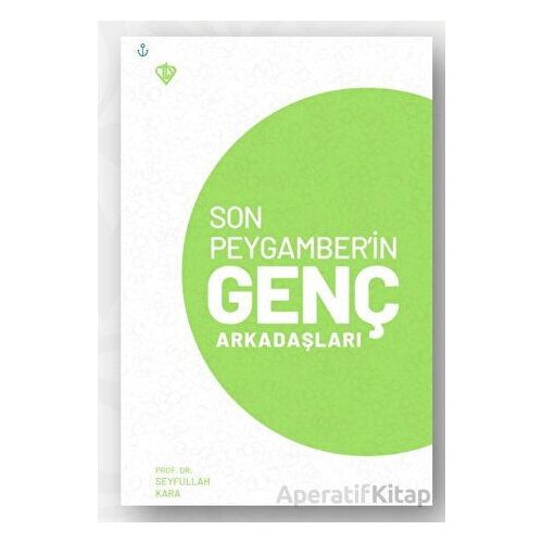 Son Peygamber’in Genç Arkadaşları - Seyfullah Kara - Türkiye Diyanet Vakfı Yayınları