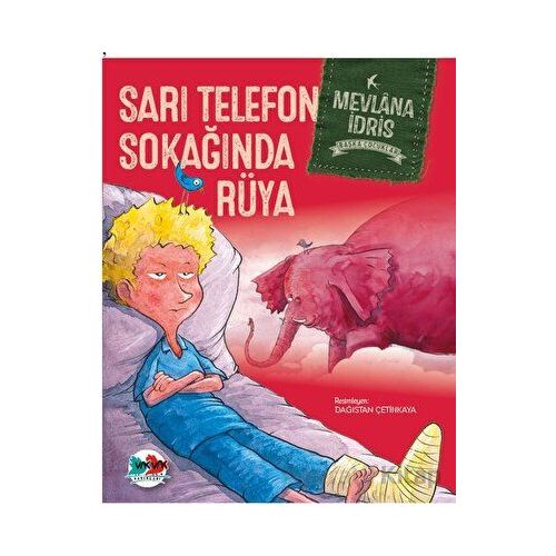 Sarı Telefon Sokağında Rüya - Mevlana İdris - Vak Vak Yayınları