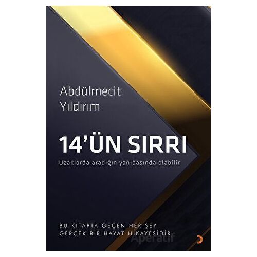14’ün Sırrı - Abdülmecit Yıldırım - Cinius Yayınları