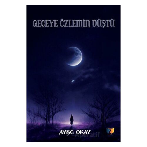Geceye Özlemin Düştü - Ayşe Okay - Ateş Yayınları