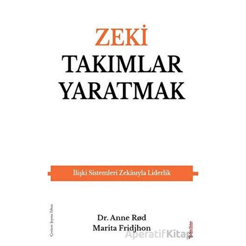 Zeki Takımlar Yaratmak - Marita Fridjhon - Sola Unitas