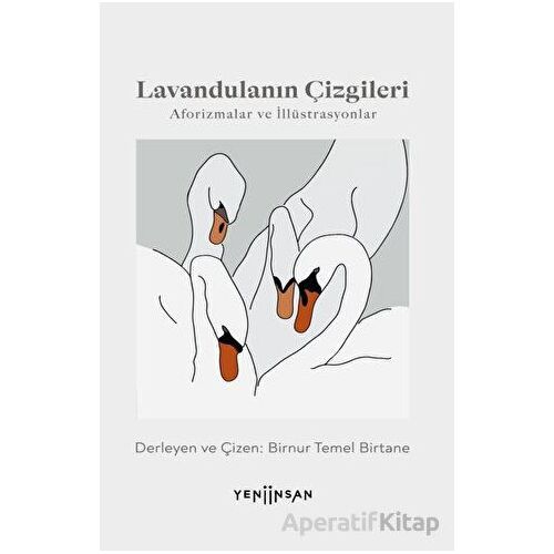 Lavandulanın Çizgileri - Birnur Temel Birtane - Yeni İnsan Yayınevi