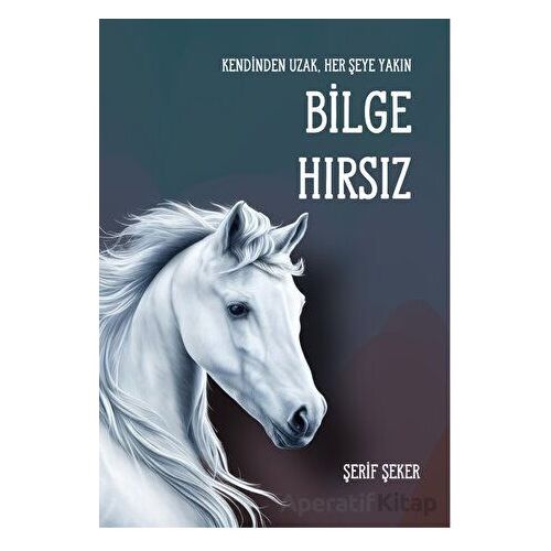 Bilge Hırsız - Şerif Şeker - Luna Yayınları