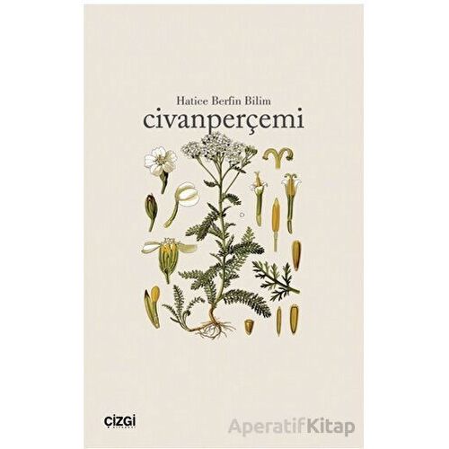 Civanperçemi - Hatice Berfin Bilim - Çizgi Kitabevi Yayınları