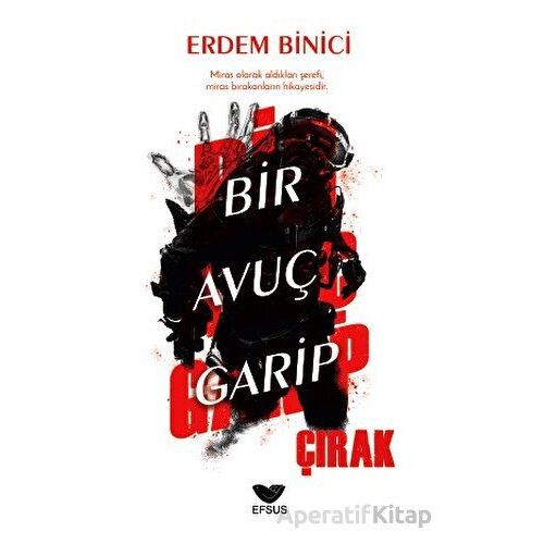 Bir Avuç Garip Çırak - Erdem Binici - Efsus Yayınları