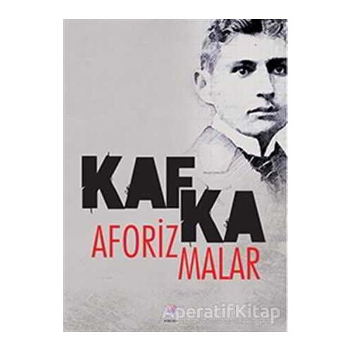 Aforizmalar - Franz Kafka - Nilüfer Yayınları