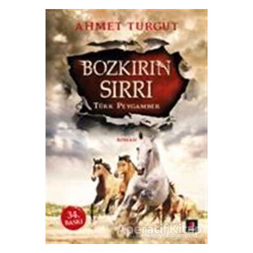 Bozkırın Sırrı : Türk Peygamber - Ahmet Turgut - Kapı Yayınları