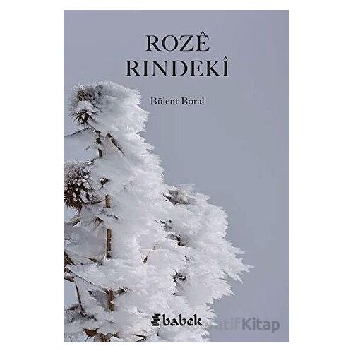 Roze Rındeki - Bülent Boral - Babek Yayınları