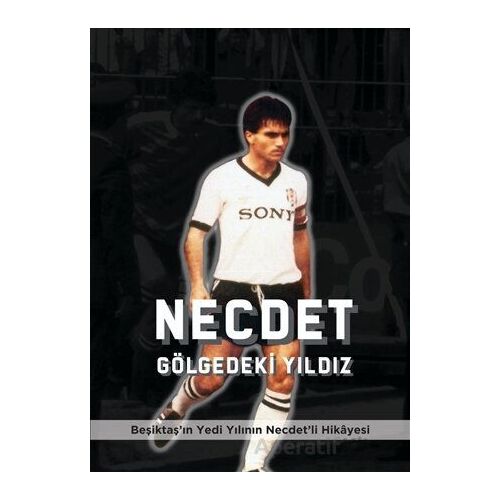 Necdet Gölgedeki Yıldız - İlker Pırlant - Kırk Yayınevi