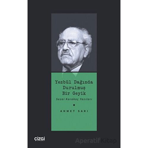 Yezbül Dağında Durulmuş Bir Geyik - Ahmet Sarı - Çizgi Kitabevi Yayınları