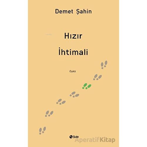 Hızır İhtimali - Demet Şahin - Şule Yayınları