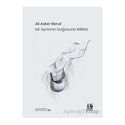 Bir Aynanın Buğusuna İkilikler - Ali Asker Barut - Pikaresk Yayınevi