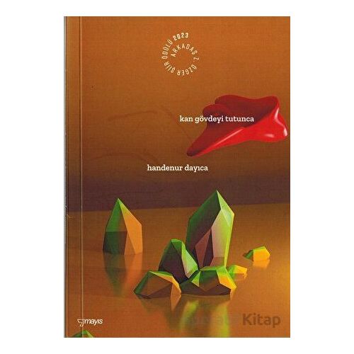 Kan Gövdeyi Tutunca - Handenur Dayıca - Mayıs Yayınları