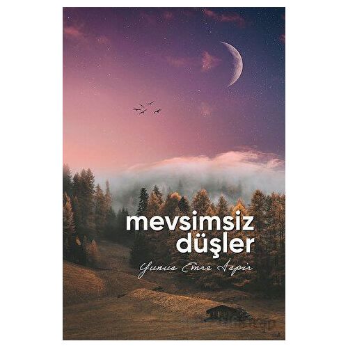 Mevsimsiz Düşler - Yunus Emre İspir - Alka Yayınevi