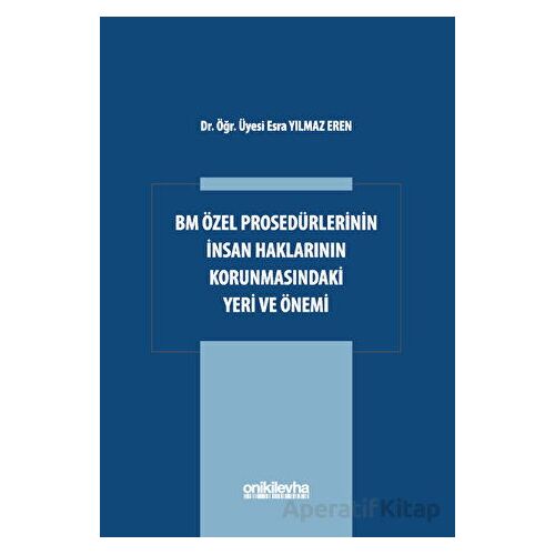 BM Özel Prosedürlerinin İnsan Hakları Korumasındaki Yeri ve Önemi
