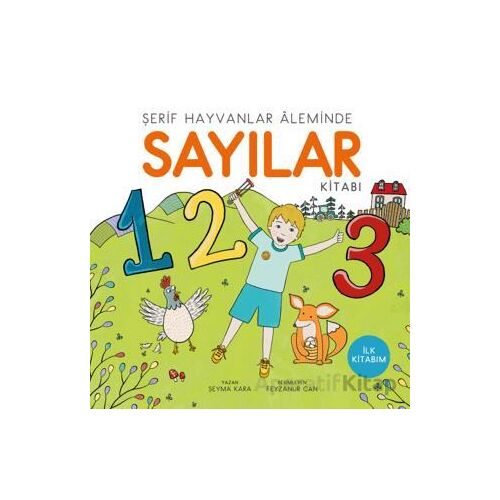 Sayılar - Şeyma Kara - Uçan Kitap