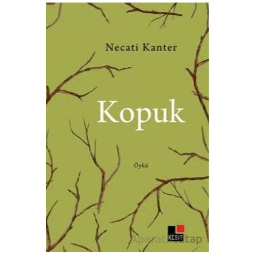 Kopuk - Necati Kanter - Kesit Yayınları