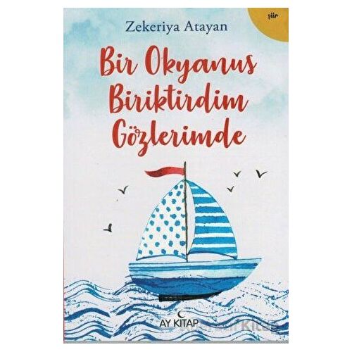 Bir Okyanus Biriktirdim Gözlerimde - Zekeriya Atayan - Ay Kitap