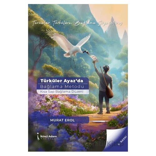 Türküler Ayaz’da - Murat Erol - İkinci Adam Yayınları