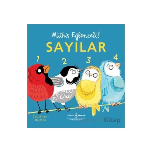 Sayılar - Müthiş Eğlenceli! - Courtney Dicmas - İş Bankası Kültür Yayınları
