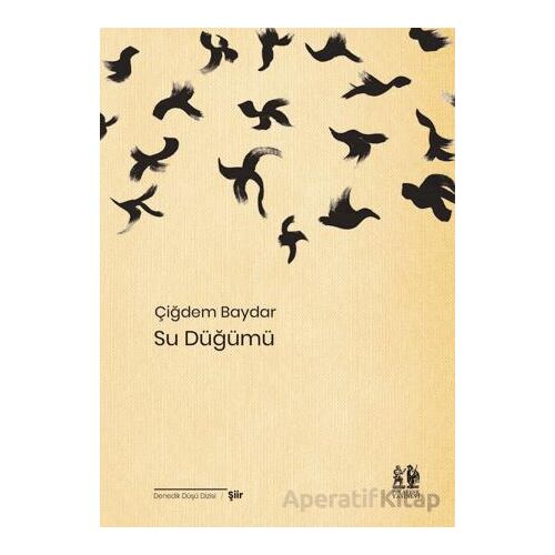 Su Düğümü - Çiğdem Baydar - Pikaresk Yayınevi