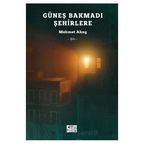 Güneş Bakmadı Şehirlere - Mehmet Akay - Şiirden Yayıncılık