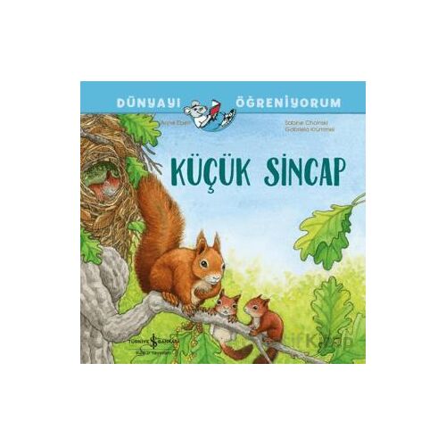 Küçük Sincap Dünyayı Öğreniyorum - Sabine Choinski - İş Bankası Kültür Yayınları