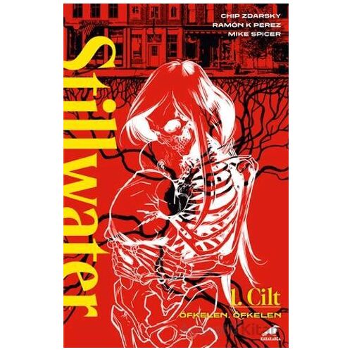 Stillwater 1 - Chip Zdarsky - Kara Karga Yayınları