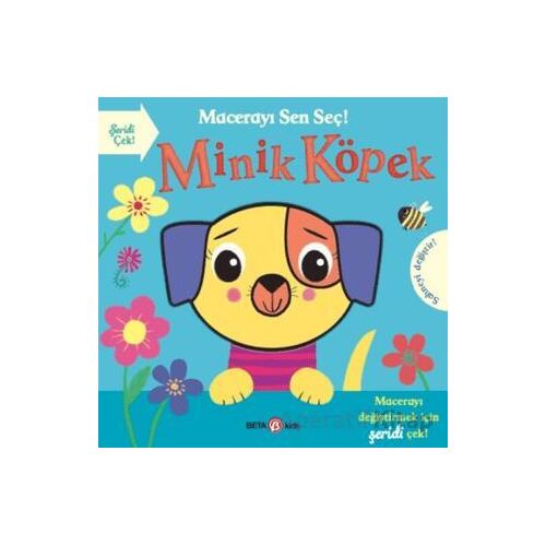Macerayı Sen Seç! Minik Köpek - Holly Hall - Beta Kids